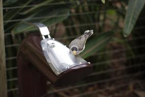 Outdoors Nature Wood