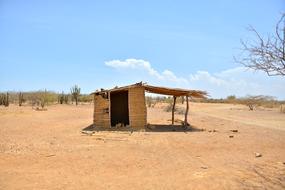 Desert House Landscape
