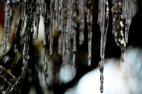 Icicles Winter Ice