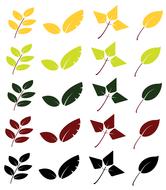 leaves graphics fall spring summer