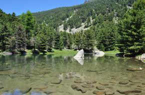 Lake Reflection Landscape