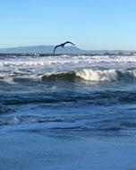 Water Sea Surf