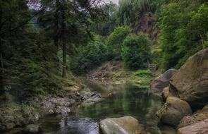 River Landscape Nature
