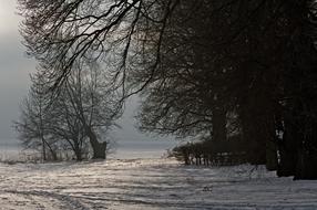 Winter Rügen Baltic Sea Place