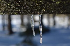 Nature Outdoors Rain No