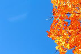 Nature Bright Outdoors