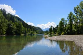 Auwaldsee Forest Lake
