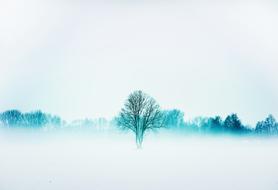 Landscape of winter fog