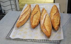 crispy hot baguette