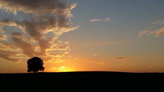 Sunset Tree Abendstimmung