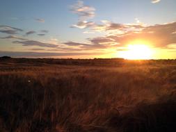 Fen Sunset Landscape