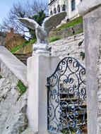 Ornate Gate Wrought Iron