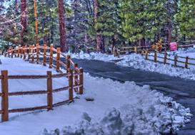winter snow trees forest fence