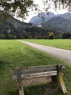 Nature Lawn Landscape