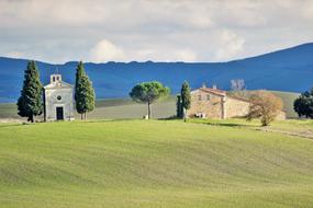 Landscape Nature Lawn