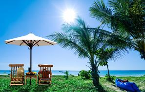 Tropical Beach Relaxation
