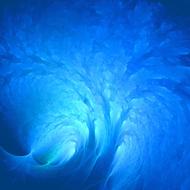 Underwater Nature Desktop