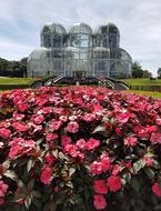 Botanical Garden Curitiba Paraná