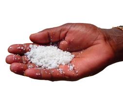 salt on the palm on a white background