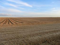 Agro-Industry No Person Landscape