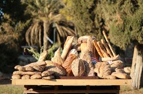 hot healthy bread