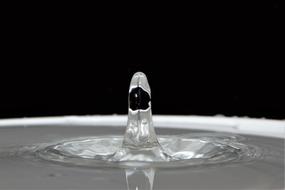 Waterdrops Droplets Water