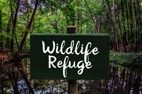 Shield Nature Conservation Animal