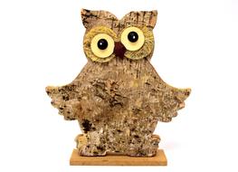 Owl Wood Tree Bark Nature