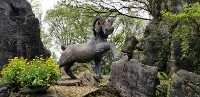 Nature Outdoors Tree