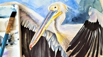 watercolor drawing of a pelican