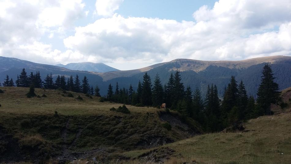 Mountains Clouds Trees