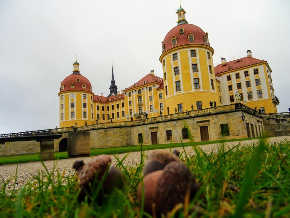Dresden Moritzburg Cinderella