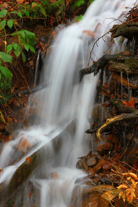 Waterfall Nature Waters