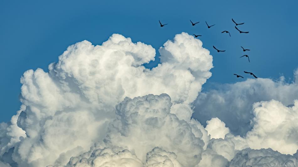 Nature Sky Outdoors