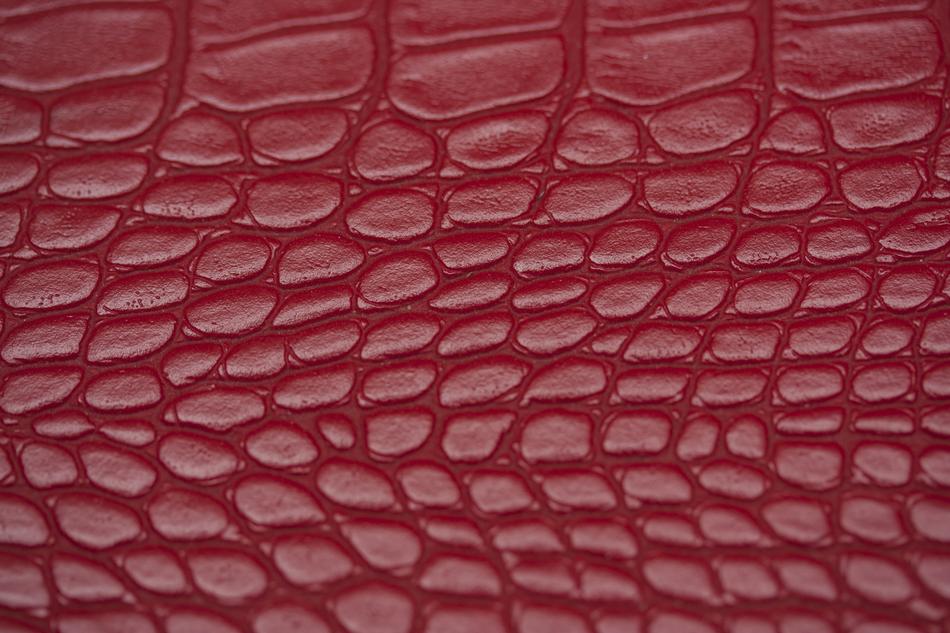 Skin Texture Red