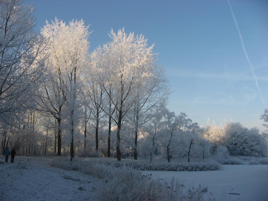 Winter Snow