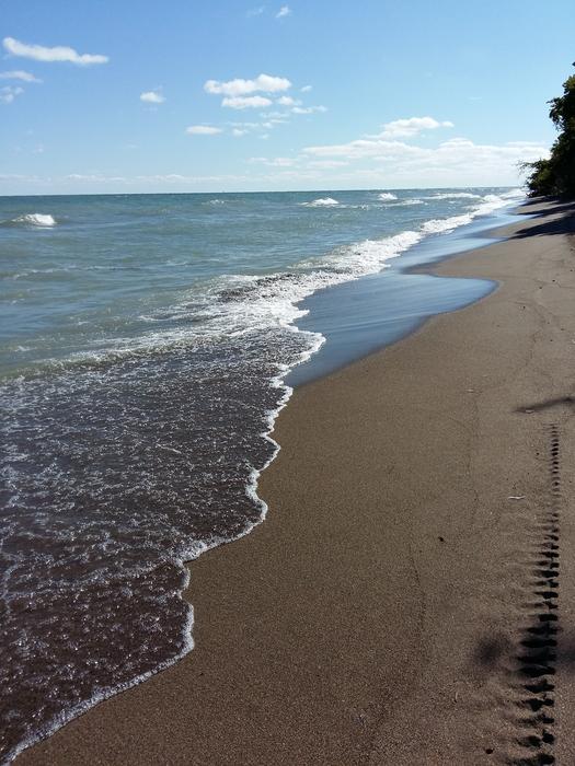 Beach Water Sand Point Pelee national park