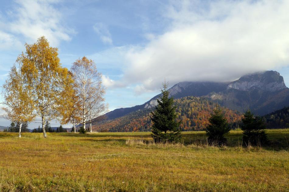 Slovakia Country Nature