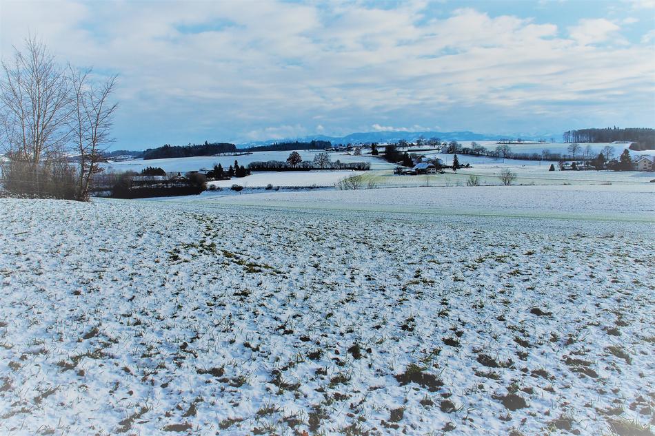 Winter Snow Nature