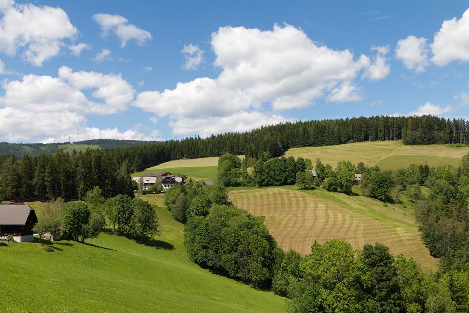 Styria Alpine Pinwheel