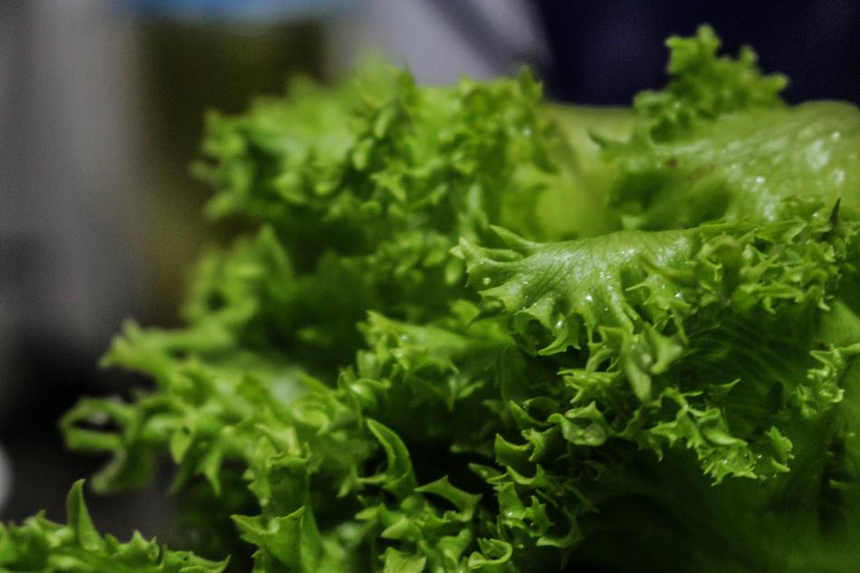 green salad fresh