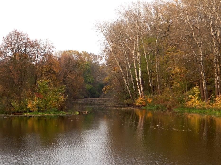 Autumn Lake Water