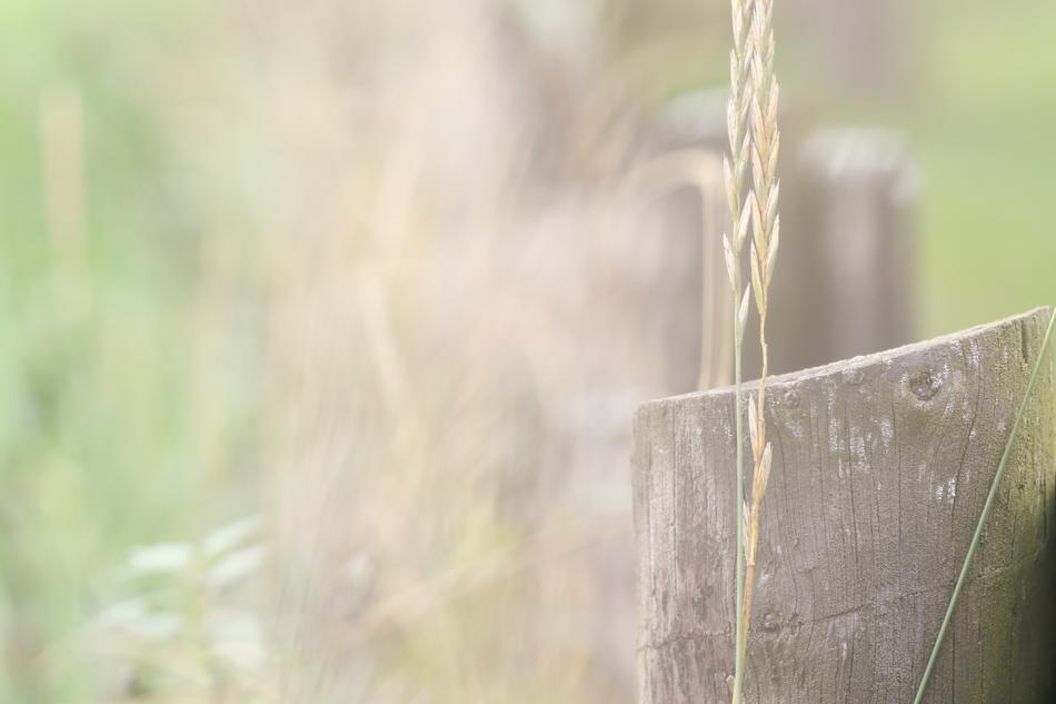 Nature Landscape Grid