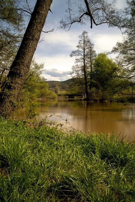 Nature Waters Landscape