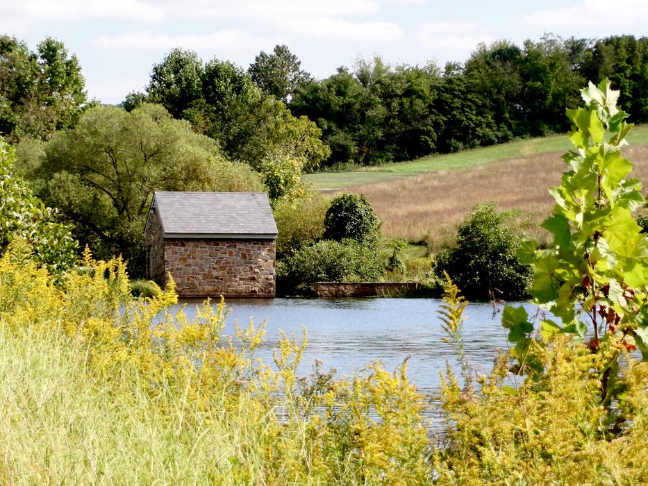 Landscape Outdoor