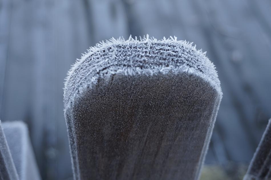 Fence Lath Winter Cold