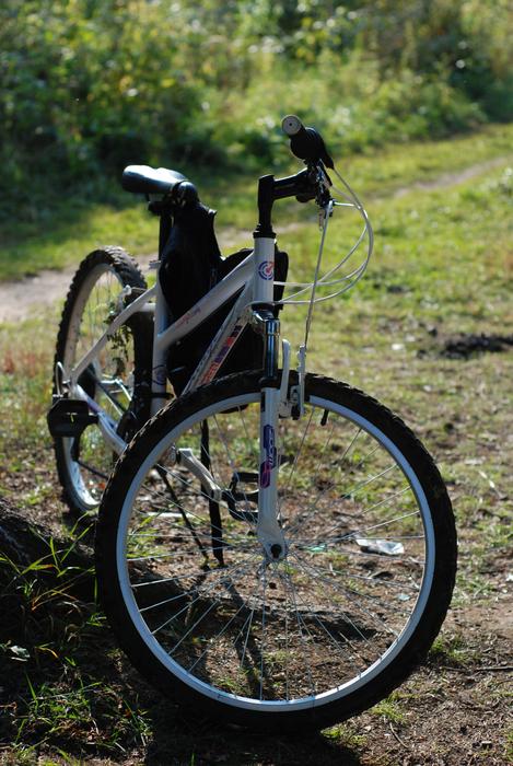 Bike Forest Autumn