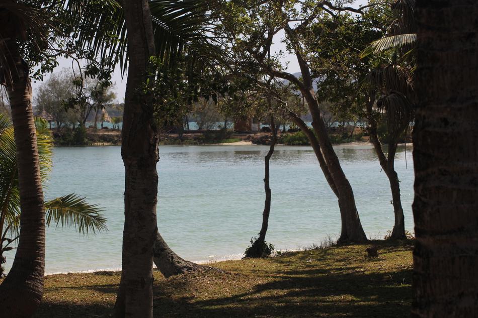 Body Of Water Tree Nature view