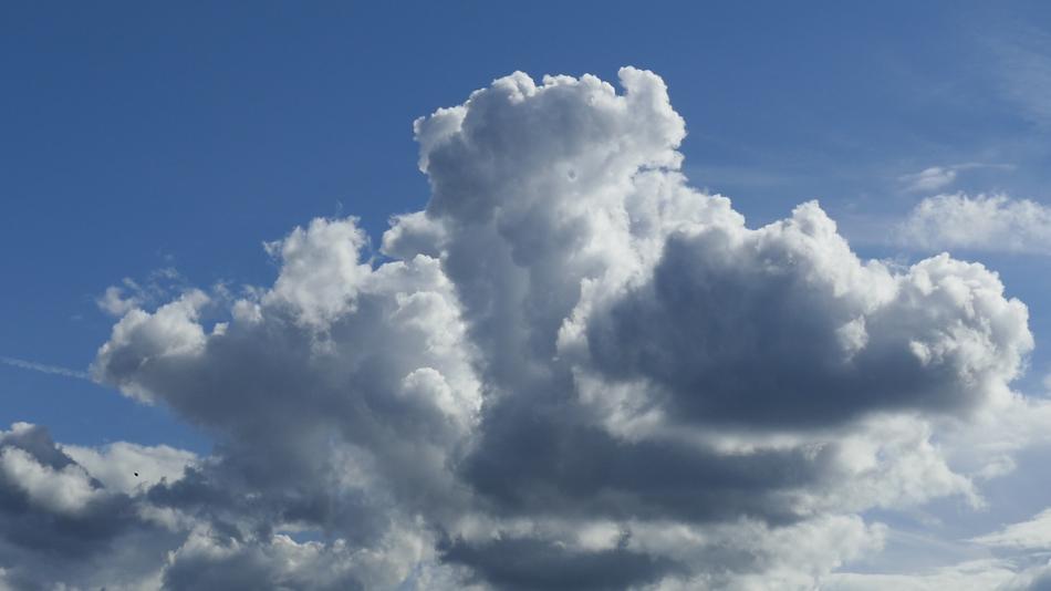 Nature Weather Summer