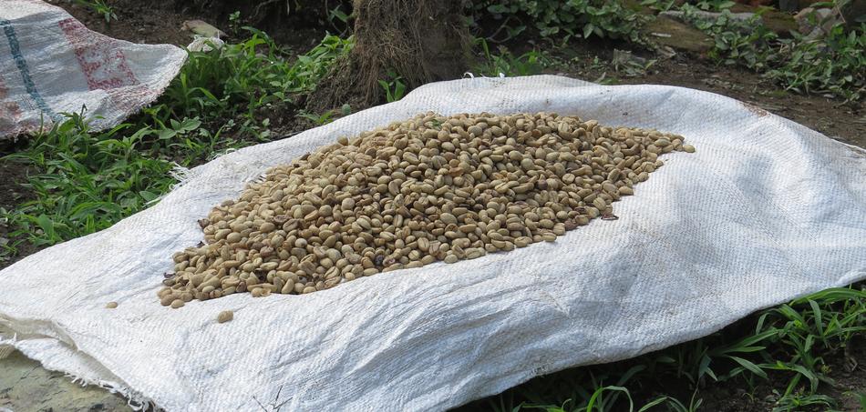 coffee beans on a bag